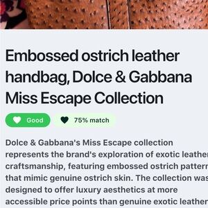 Dolce & Gabbana Brown Leather Bag with Gold Accents